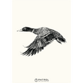 Field Sports Duck Print