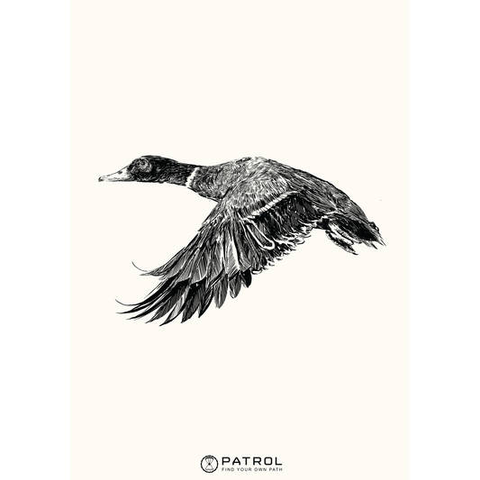 Field Sports Duck Print