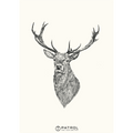 Field Sports Deer Print
