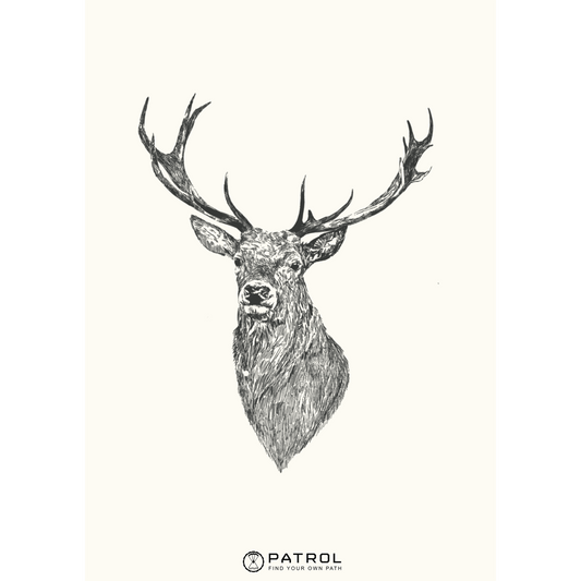 Field Sports Deer Print
