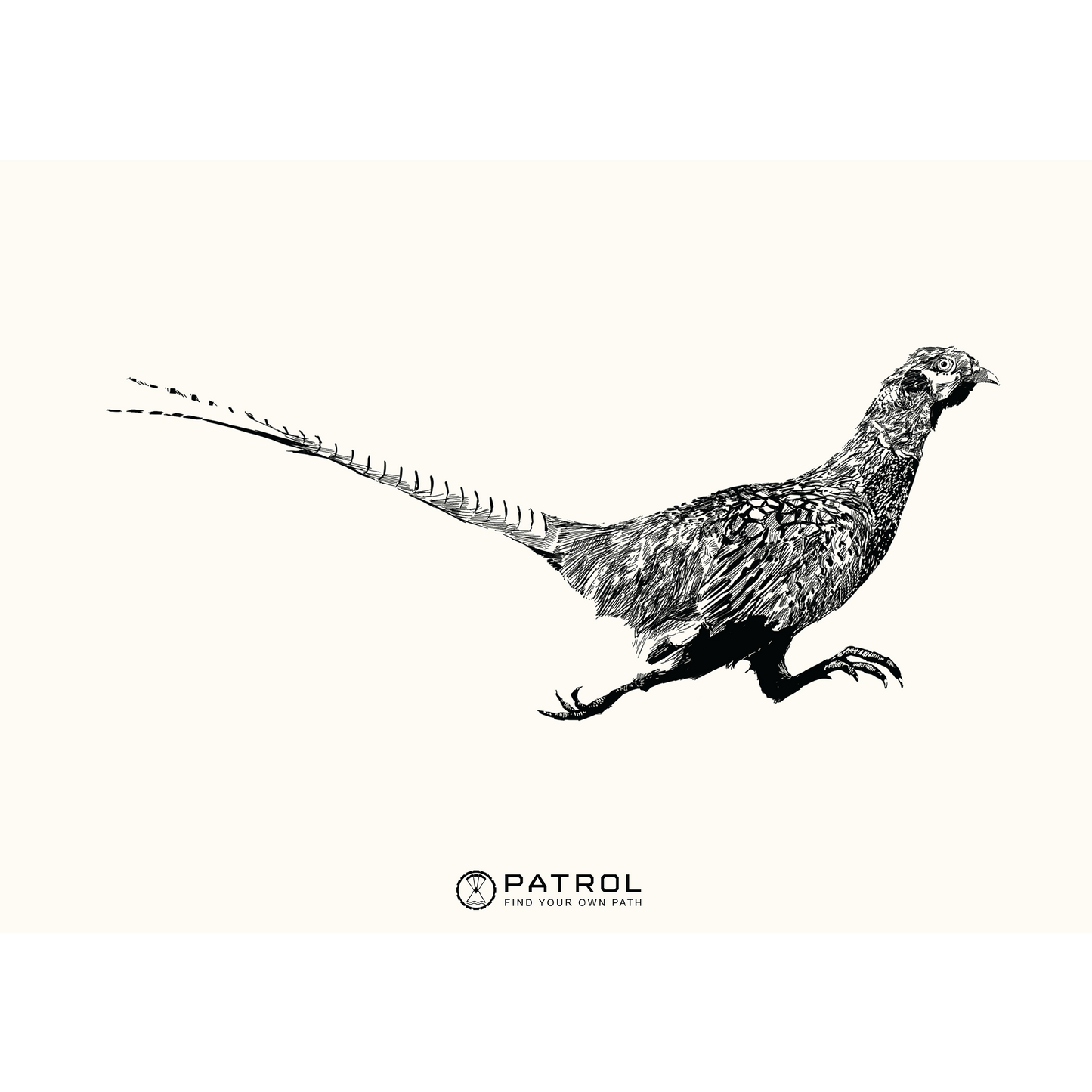 Field Sports Pheasant Print