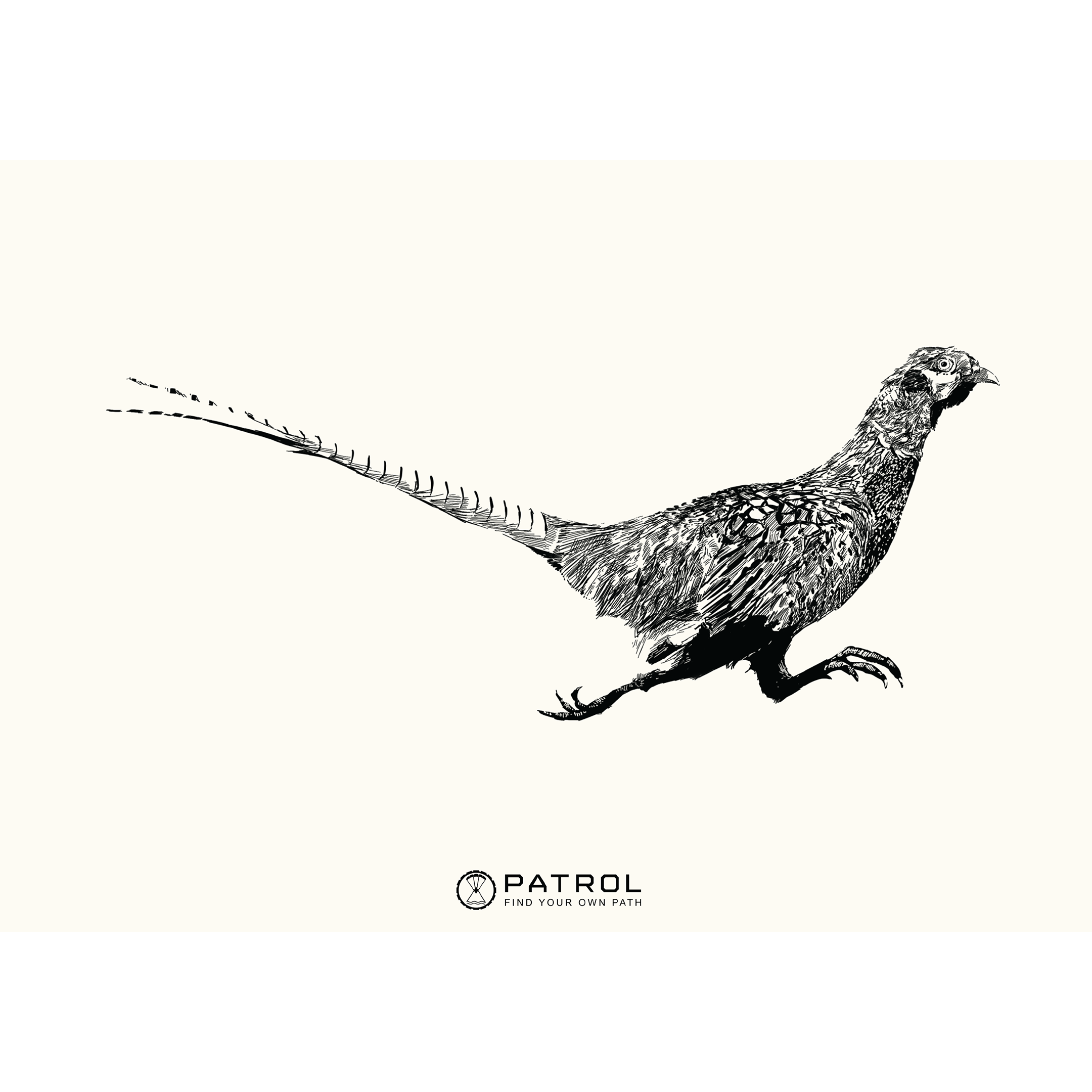 Field Sports Pheasant Print