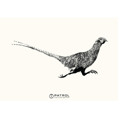 Field Sports Pheasant Print