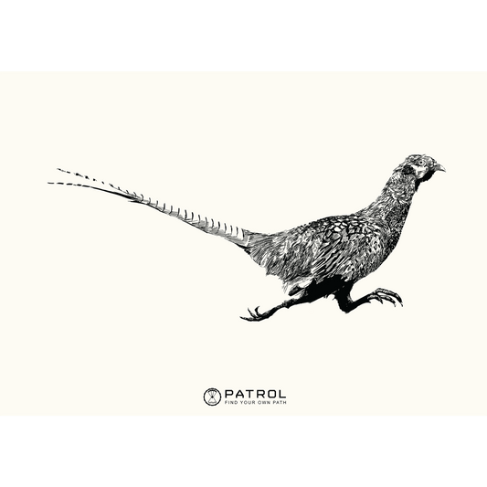 Field Sports Pheasant Print