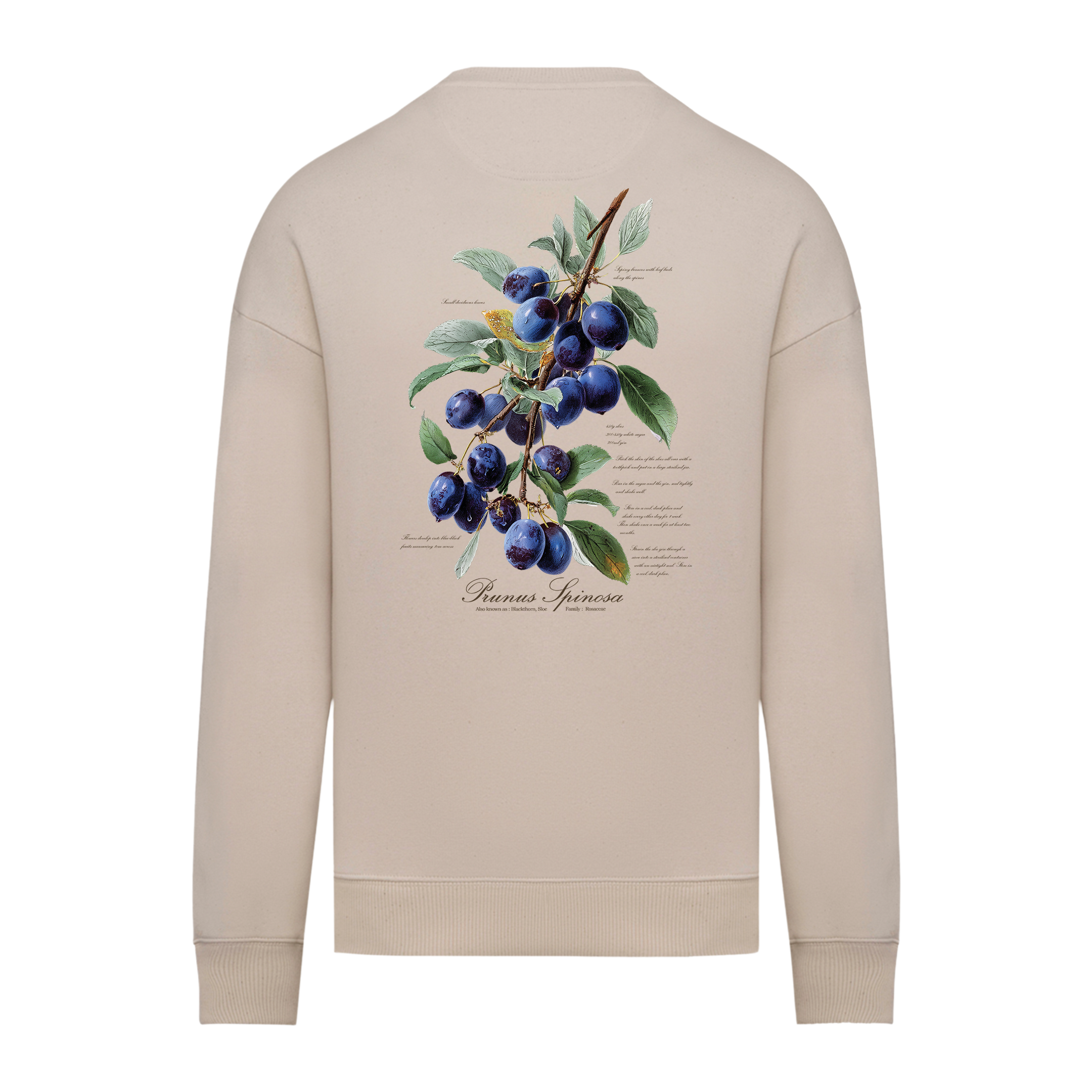Sloe Sweater